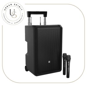 Location LD Systems ANNY 10 HHD B6, enceinte autonome avec batterie et micros sans fil